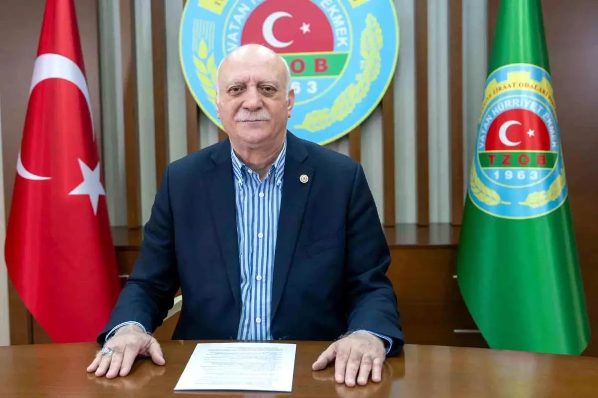 Eylül Ayında Market Fiyatları Artış Göstermeye Devam Ediyor