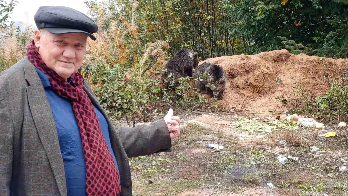 Yavru Ayılar Vatandaşların İlgisini Çekiyor