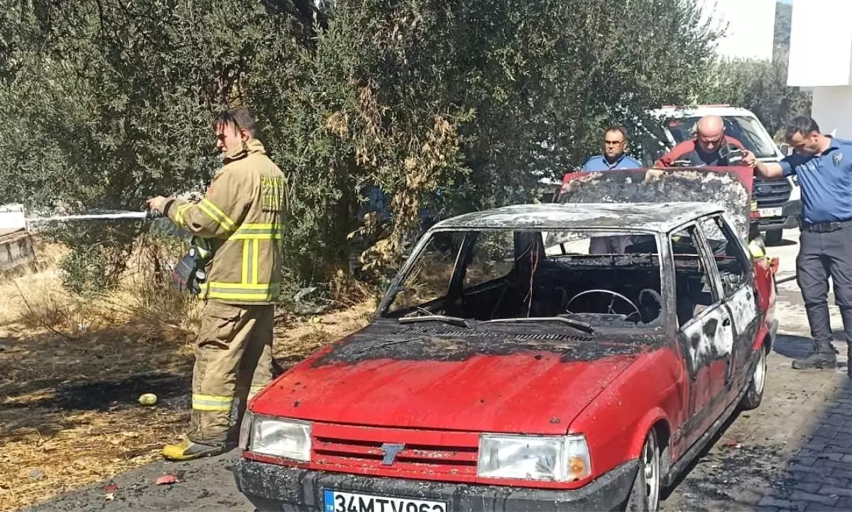 Balıkesir'de Araç Yangını Otluk Alana Sıçradı