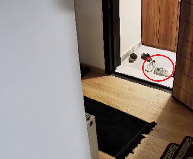 Shocking claim in Güllü's death: Two men entered the house that night