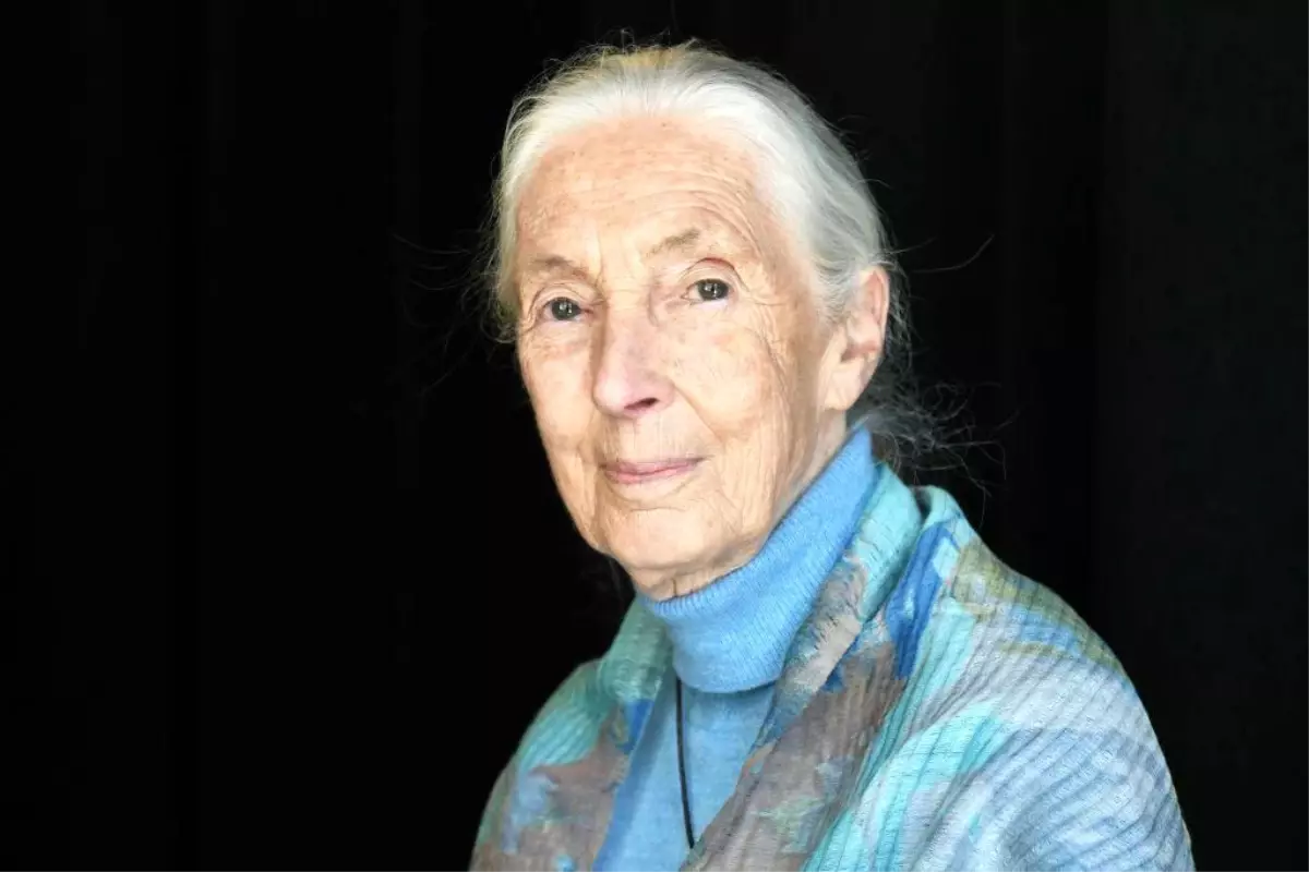 Bilim İnsanı Jane Goodall Hayatını Kaybetti