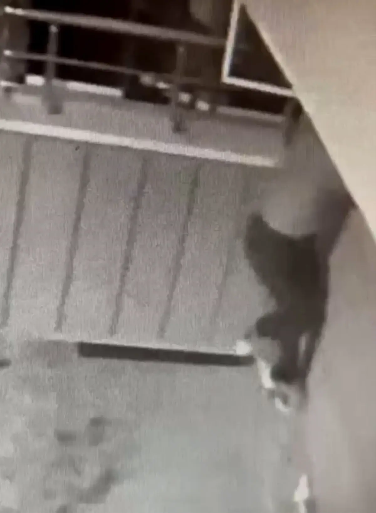 Samsun'da Hırsızlık Şüphelisi Yakalandı