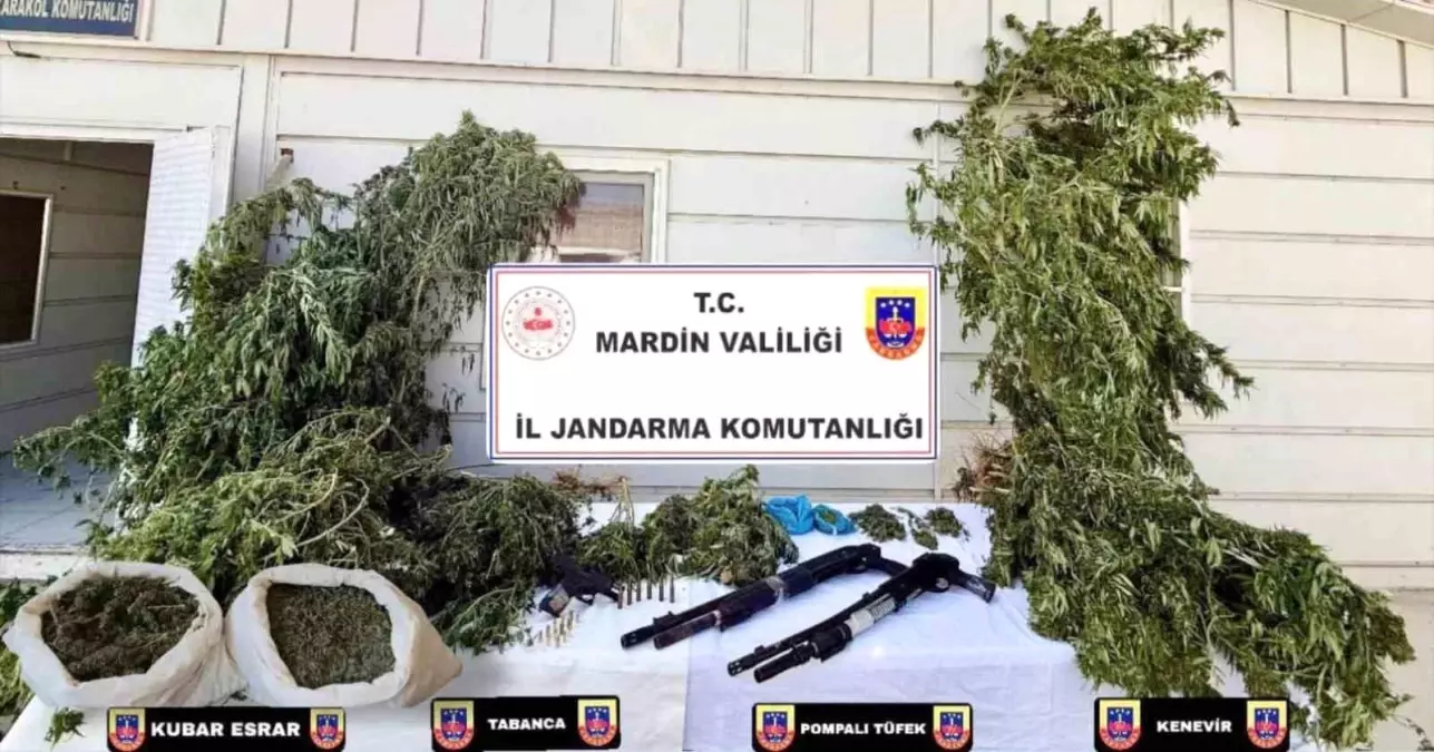 Mardin'de Uyuşturucu Operasyonları: 38 Gözaltı ve Yüksek Miktarda Madde Ele Geçirildi
