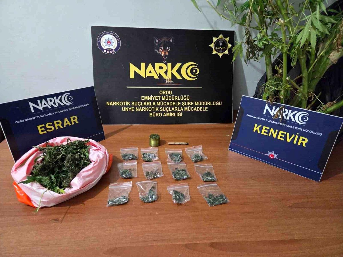 Ordu'da Uyuşturucu Operasyonu: 2 Şüpheli Tutuklandı