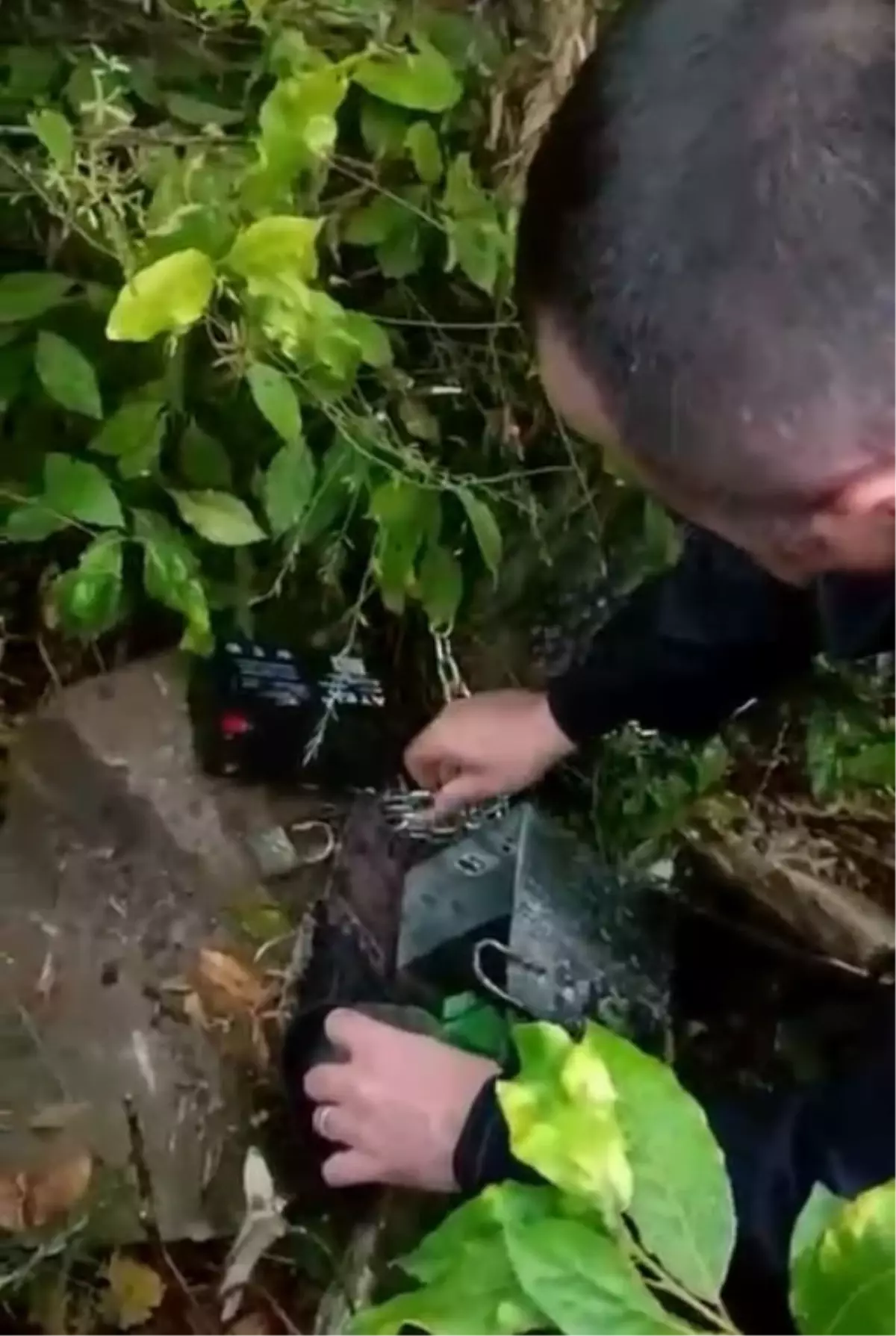 Samsun'da Kaçak Avcılık Operasyonu: Şüpheli Gözaltına Alındı