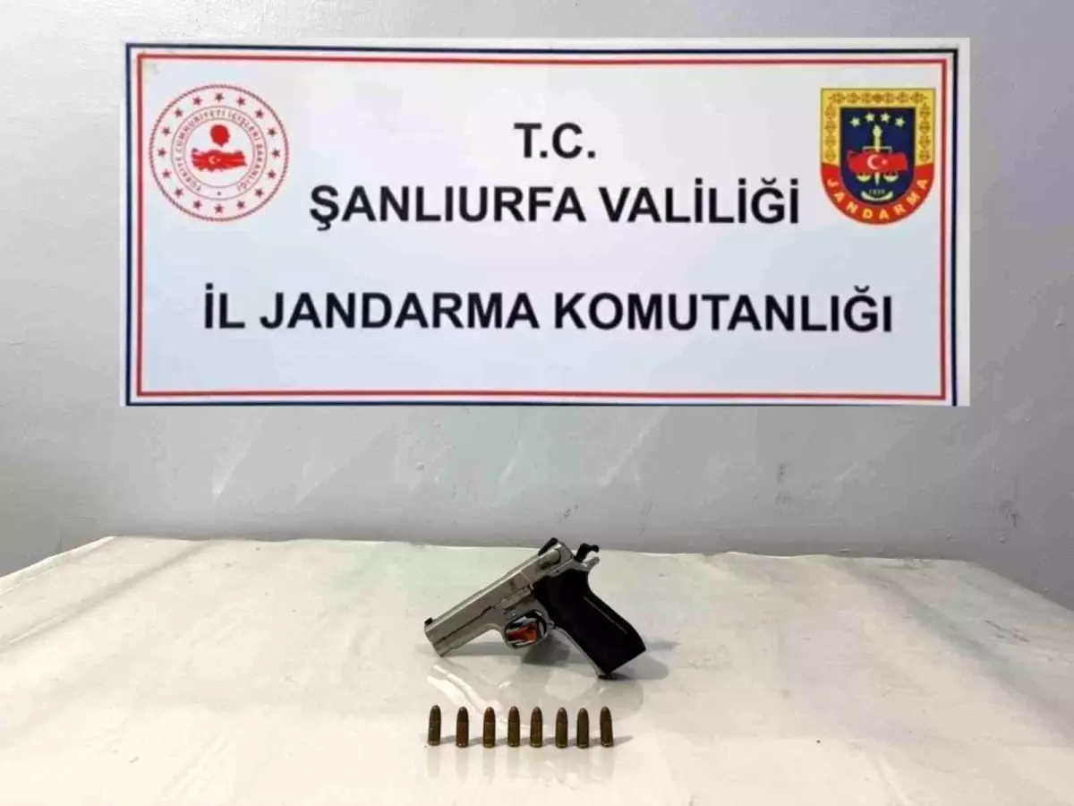 Viranşehir'de Jandarma Operasyonu: Ruhsatsız Silah ve Mermiler Ele Geçirildi
