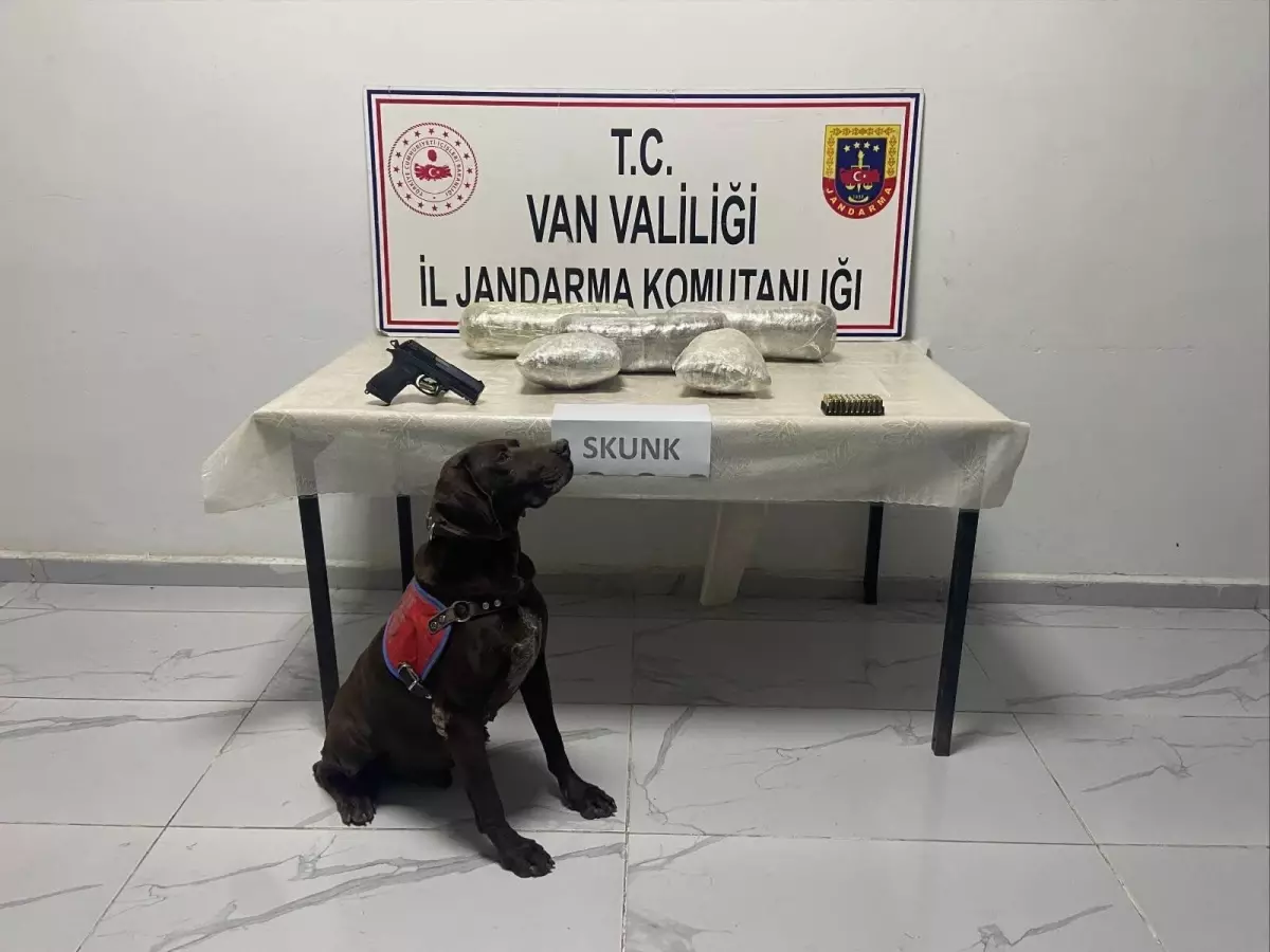 VAN'da Narkotik Operasyonu: 4 Kilo Skunk ve Silah Ele Geçirildi