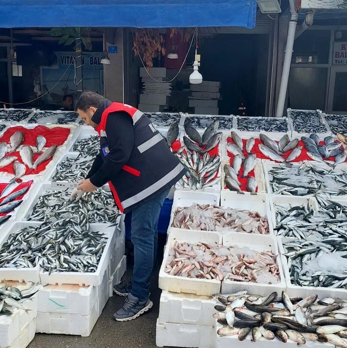 Samsun'da Balıkçı Esnaflarına Denetim Yapıldı