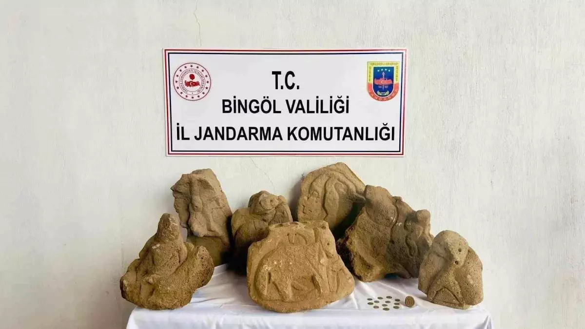 Bingöl'de Jandarma Ekiplerinden Tarihi Eser Operasyonu