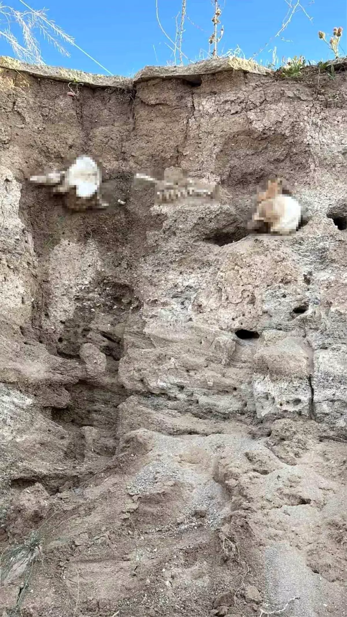 Yozgat'ta toprak altından insan kemikleri çıktı