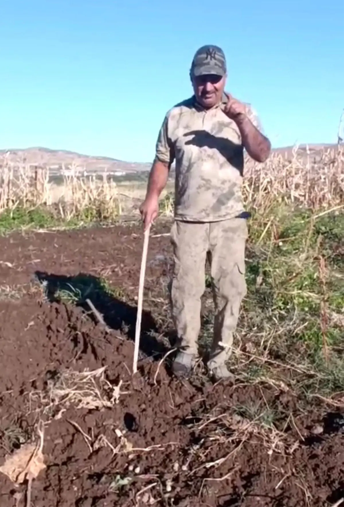 Elazığ'da Domuza Sosyal Medyadan Tepki: 'Kalemini Kıracağım!'