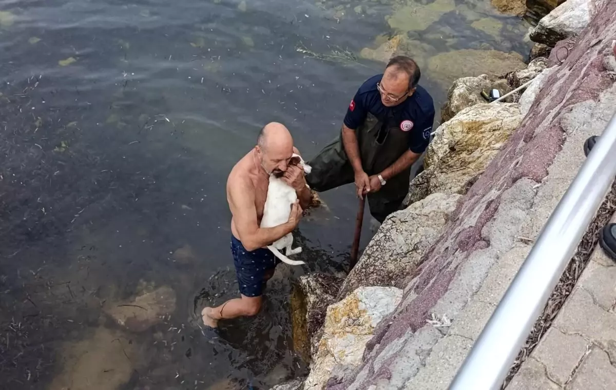 Balıkesir'de Kayalıklara Sıkışan Köpek Kurtarıldı