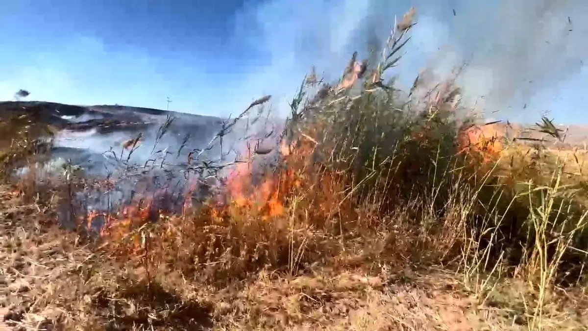 Elazığ'da Otluk Alanda Yangın Kontrol Altına Alındı