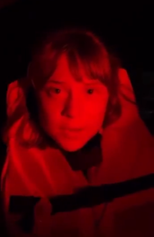 Israel detained Greta Thunberg
