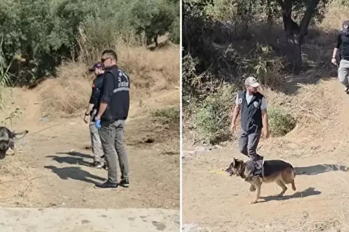 İzmir'de annesinin toprağa gömdüğü bebeği arama çalışmaları sürüyor