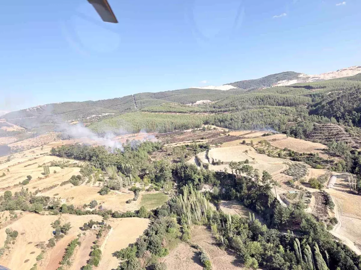 Muğla ve Aydın Sınırında Orman Yangını Kontrol Altına Alındı