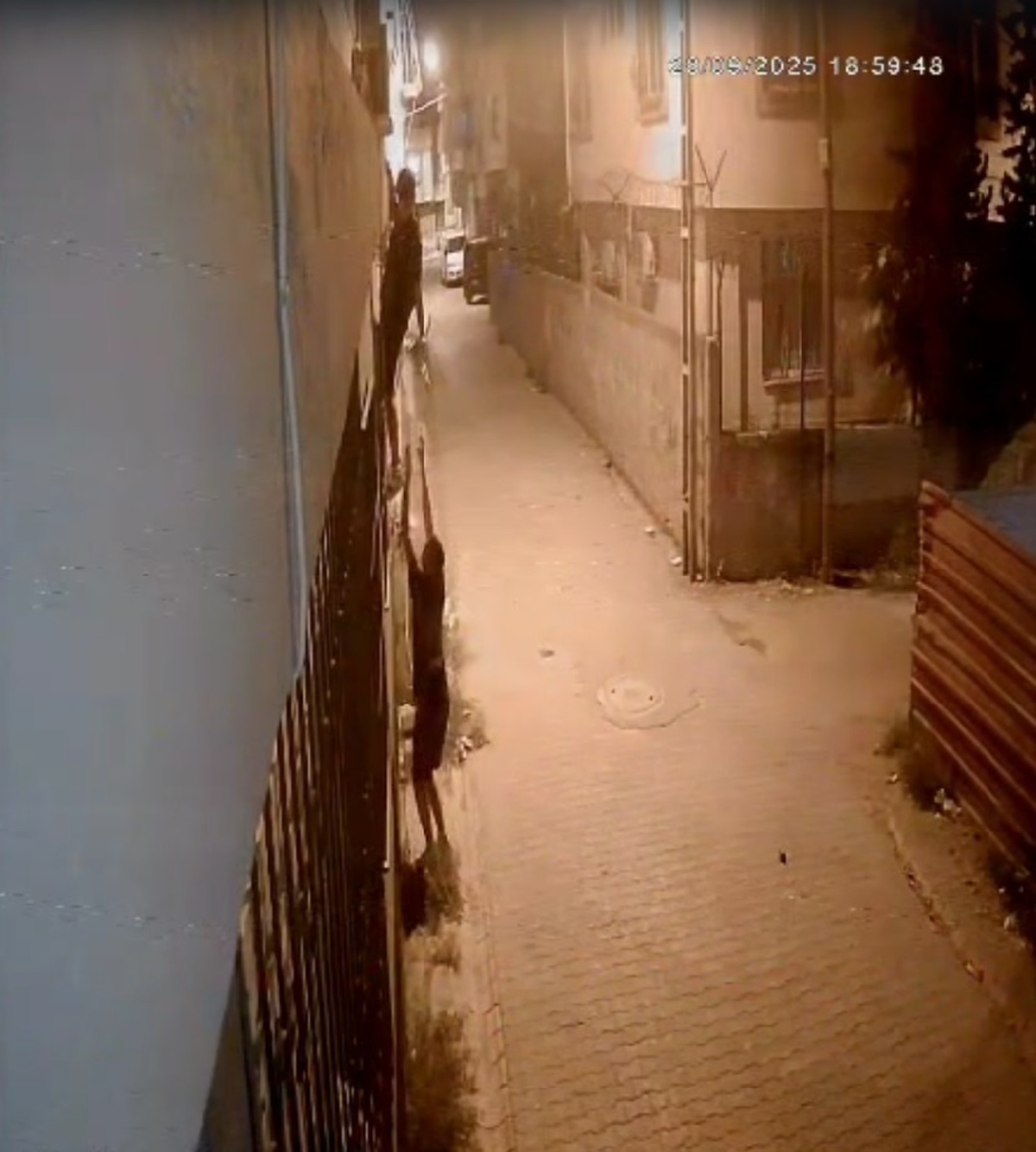 Adana'da Çocuklar Kedi Çaldı