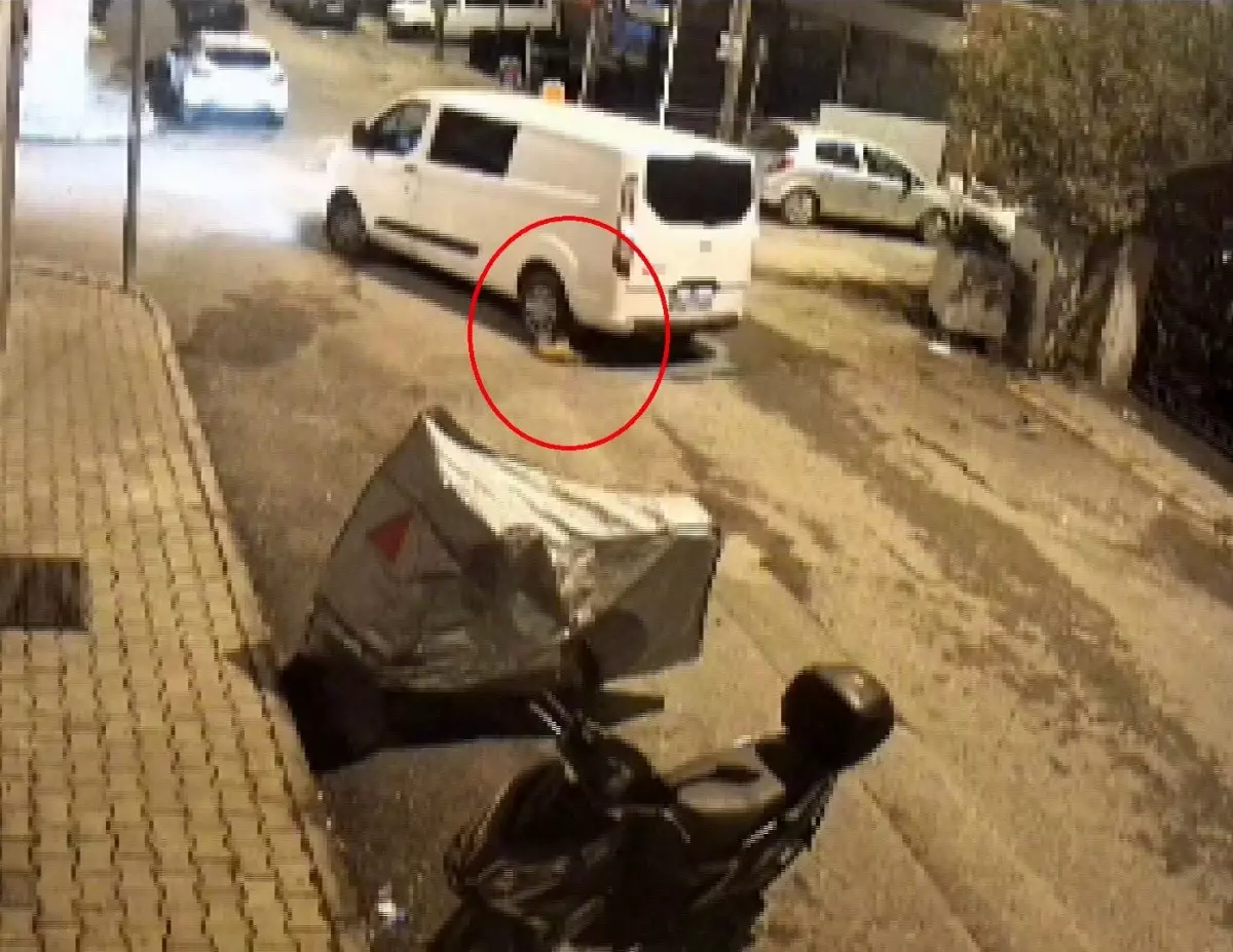 Hatay'da Minibüs Kedi Ezdi, Sürücü Fark Etmeden Devam Etti