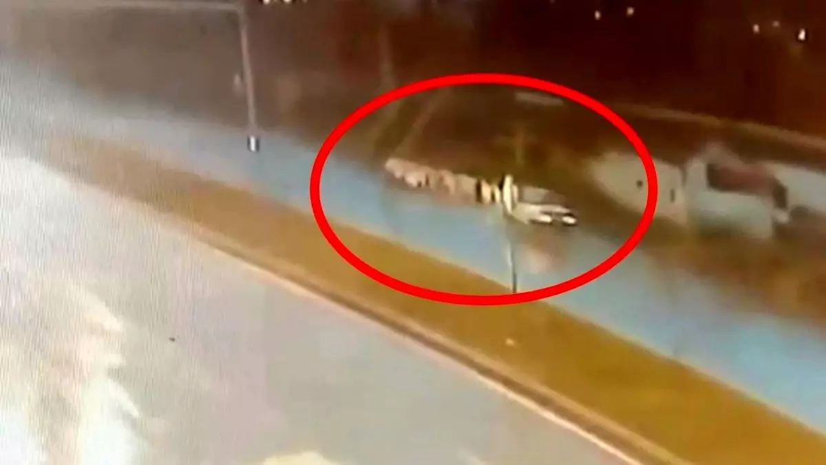 Samsun'da Otomobil Çobana ve Koyun Sürüsüne Çarptı: 1 Ölü