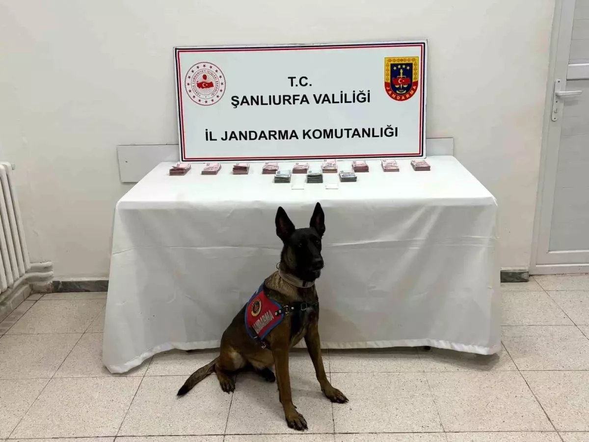 Şanlıurfa'da Uyuşturucu Operasyonu: 210 Bin TL Ele Geçirildi