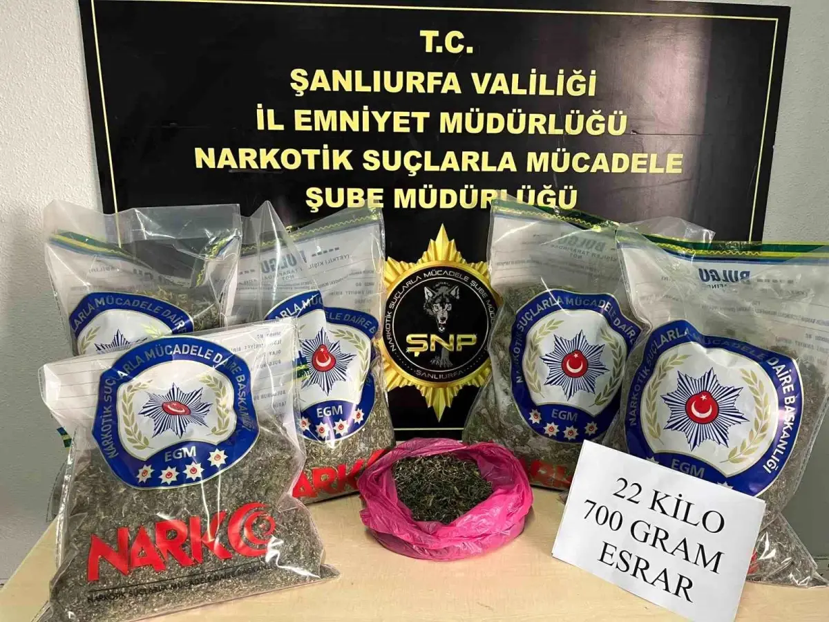 Suruç'ta Uyuşturucu Operasyonu: 22 Kilo Esrar Ele Geçirildi