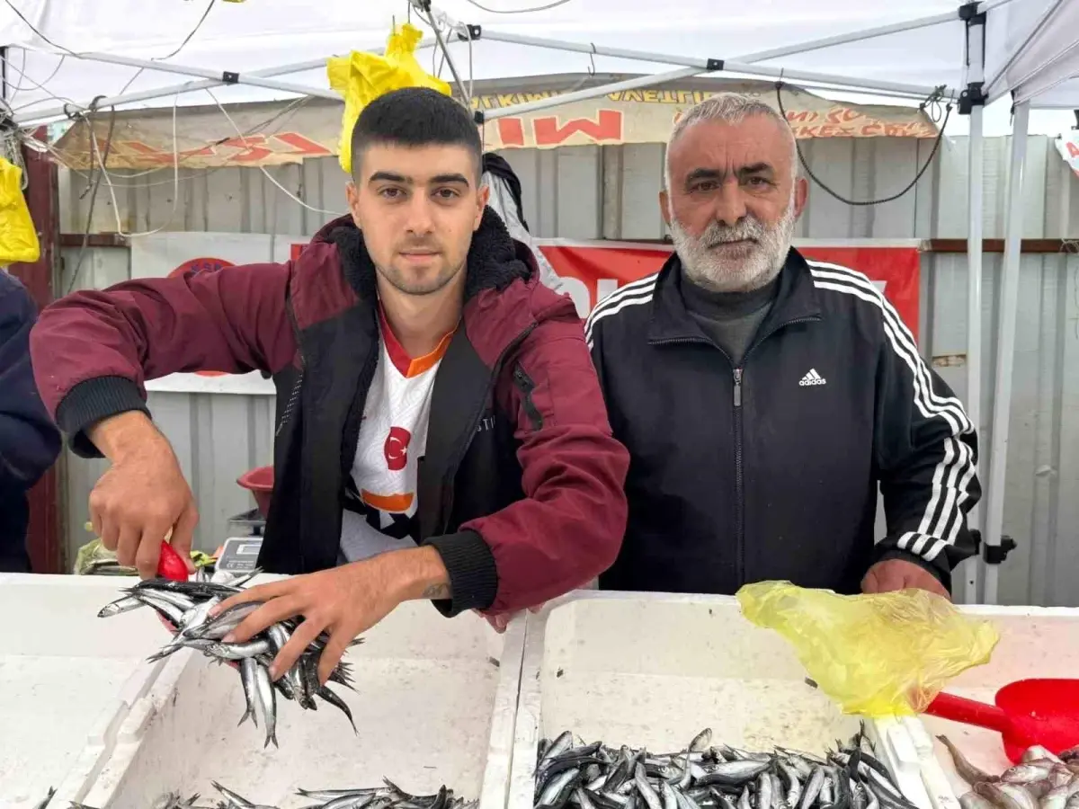 Zonguldak'ta Hamsi Fiyatları 100 Liraya Düştü