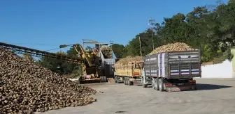 Amasya Şeker Fabrikası 72. Pancar Alım Kampanyasını Başlattı