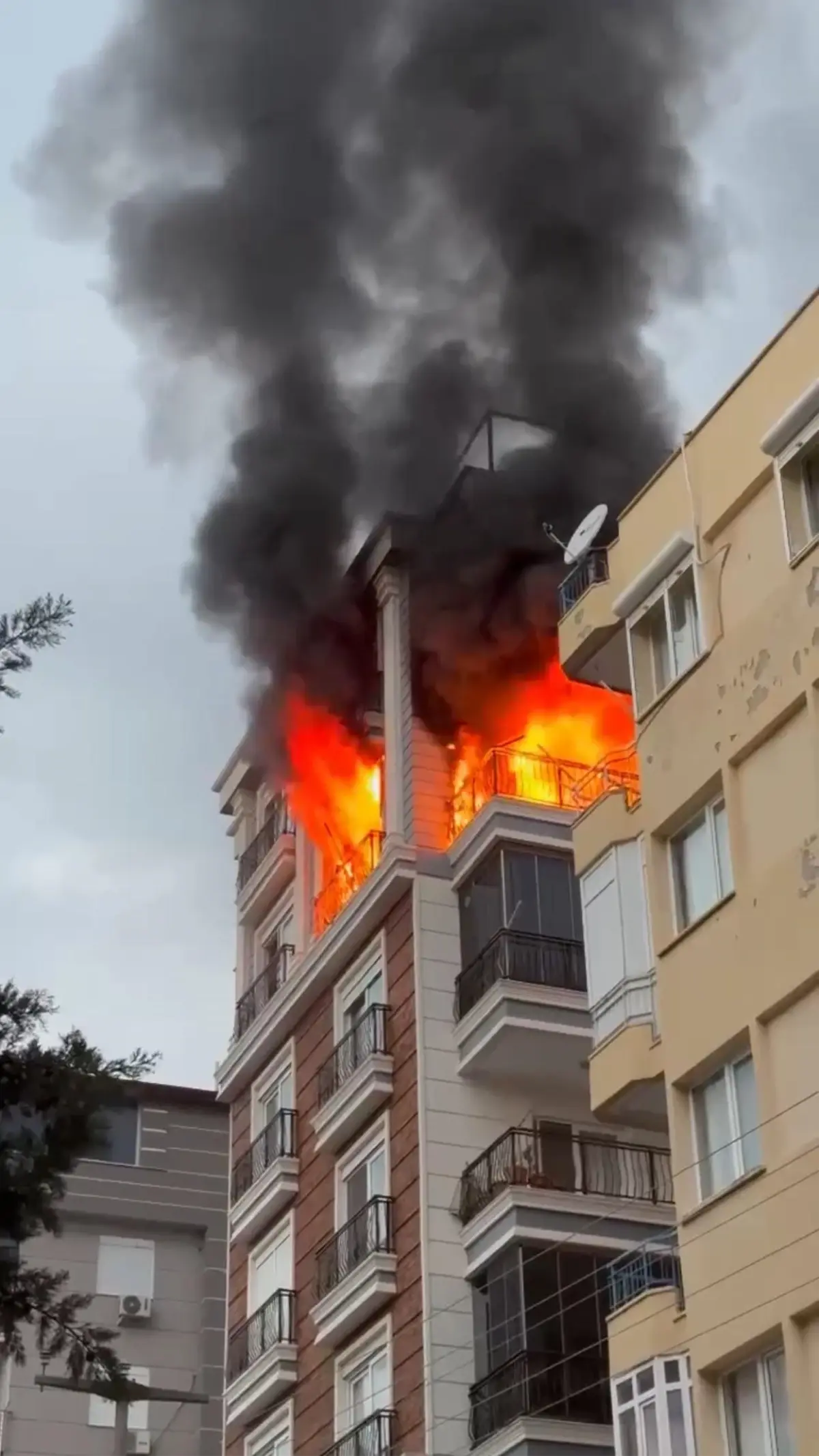 Antalya'da Aile İçi Cinayet: Oğul, Anneanne ve Teyzesini Ateşe Verdi