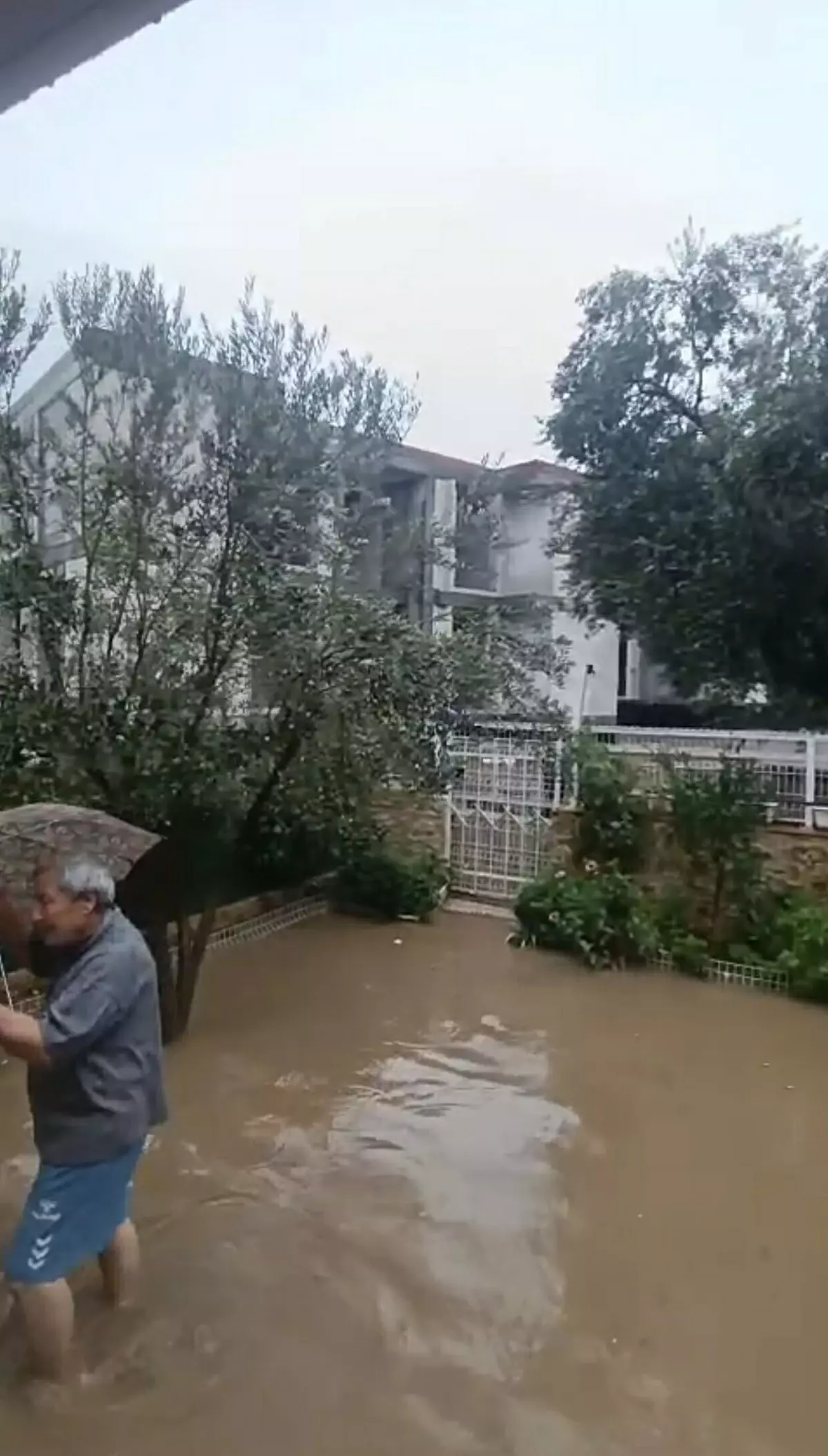 Ayvalık'ta 24 Saatte 63,8 Kilogram Yağış