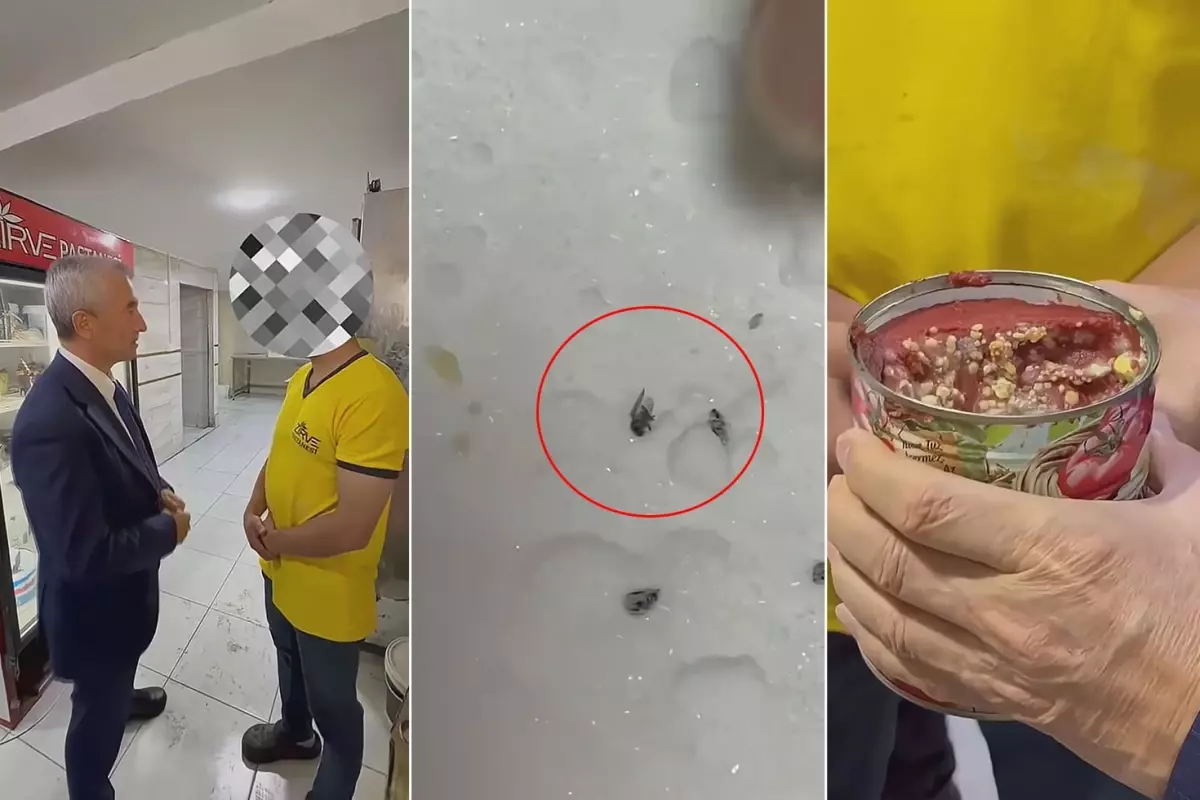 Sineğe çörek otu savunması! Mide bulandıran görüntüler belediye başkanını çıldırttı