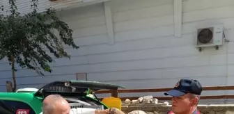 Karaman'da Yaralı 3 Pelikan ve 1 Kızıl Şahin Tedavi Altına Alındı