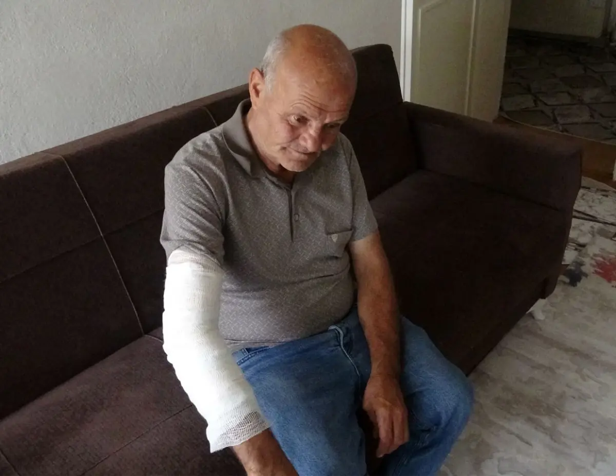 Taksici Sokak Köpeği Tarafından Isırıldı, Hayvan Sevgisinden Vazgeçmedi