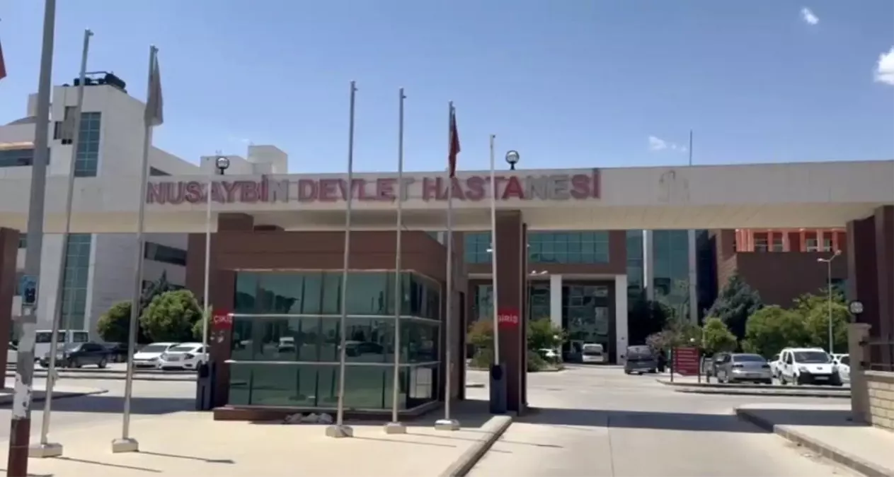 Nusaybin'de Yanmış Erkek Cesedi Bulundu