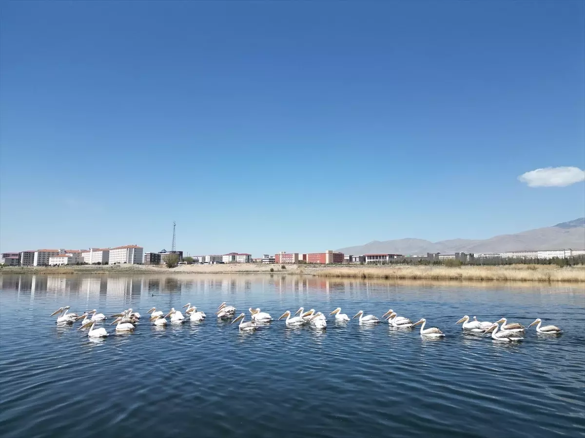 Niğde'de Kuraklık Baraj Su Seviyelerini Düşürdü