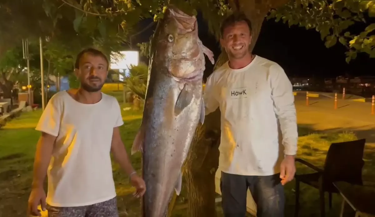 Amatör Balıkçılar 60,5 Kilogramlık Akyayı Yakaladı, Geliri Kimsesiz Çocuklara Bağışladı