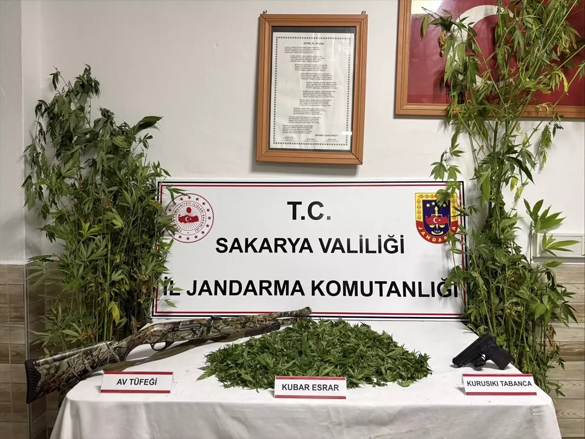 Sakarya'da Uyuşturucu Operasyonu: 1 Zanlı Tutuklandı