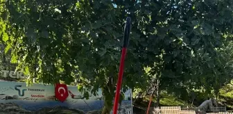 Dünya Yürüyüş Günü'nde Tekkeköy'de Yürüyüş Etkinliği