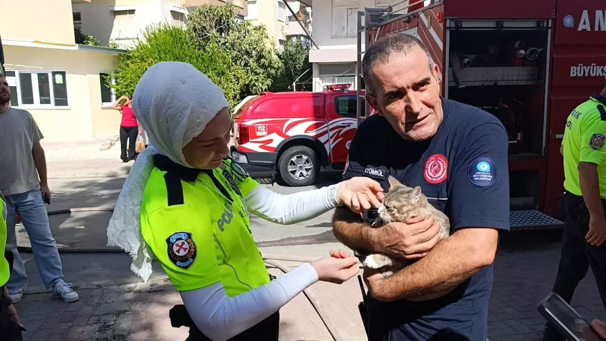Antalya'da Dairede Yangın: Kedi Gofret Kurtarıldı