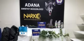 Adana'da Kenevir Yetiştiren Zanlı Tutuklandı