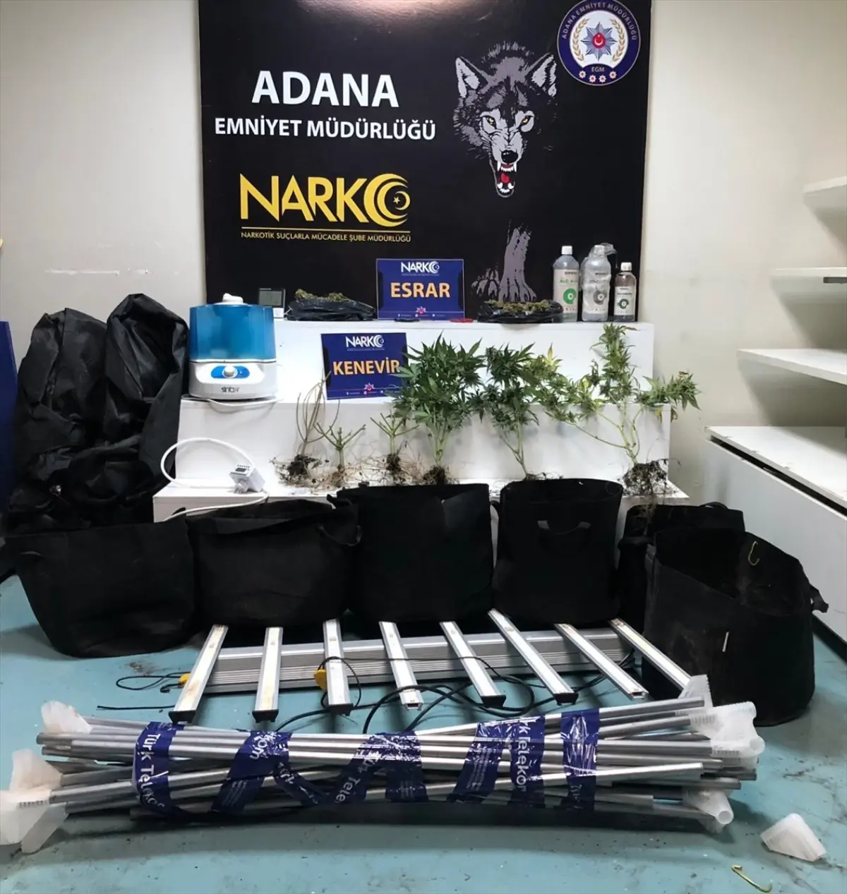 Adana'da Kenevir Yetiştiren Zanlı Tutuklandı