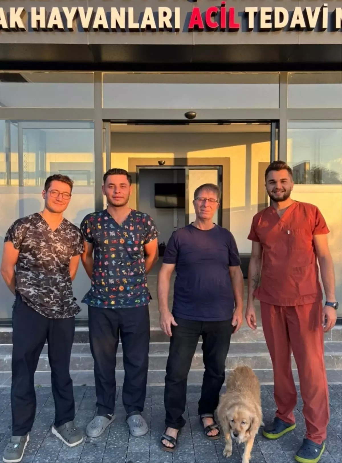 Balıkesir'de 'Gofret' isimli köpeğin idrar kesesinden 147 taş çıkarıldı