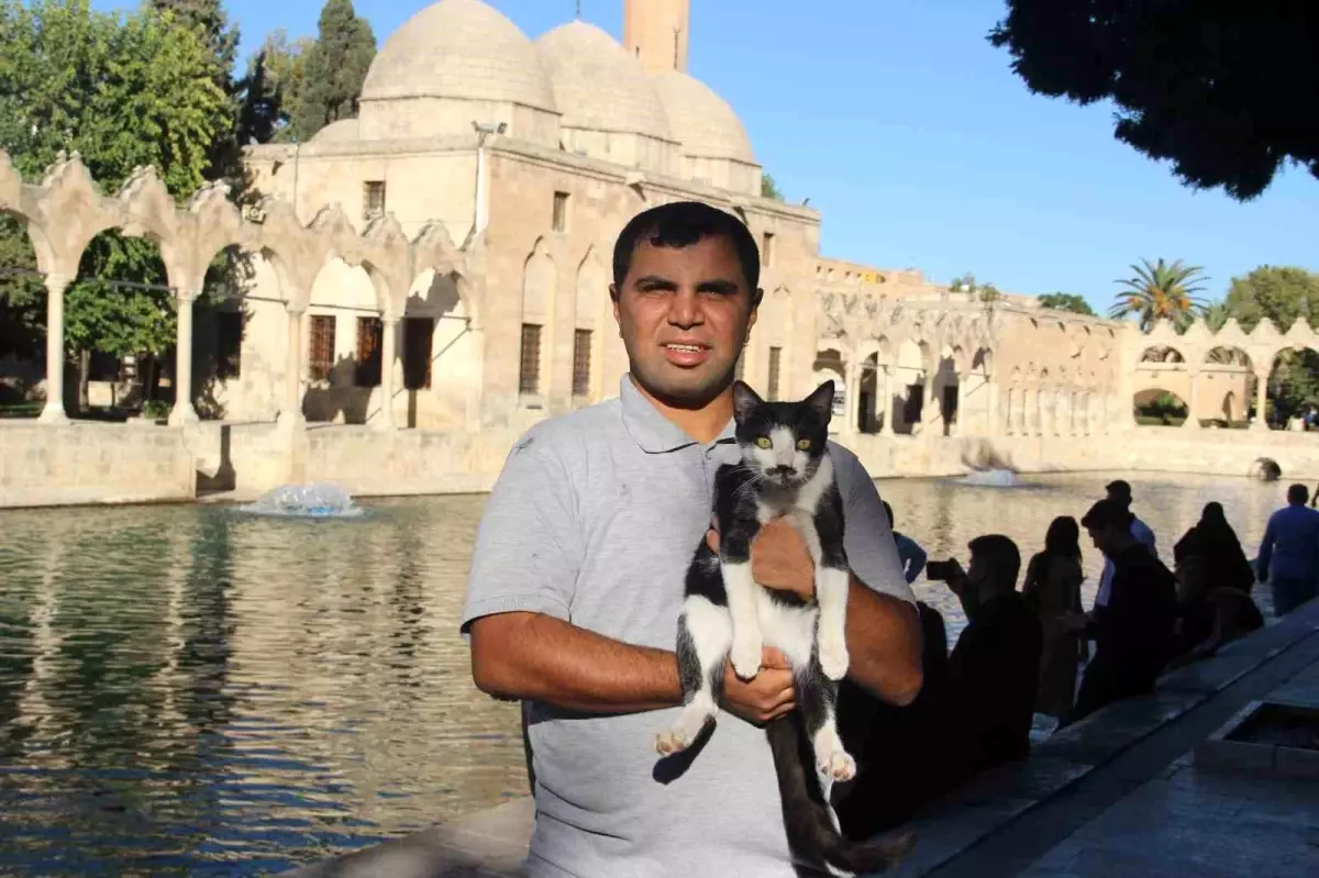 Balıklıgöl'de Kediye Kalp Masajı ile Hayat Verildi