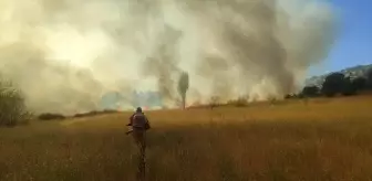 Bingöl'de Orman Yangını Kontrol Altına Alındı