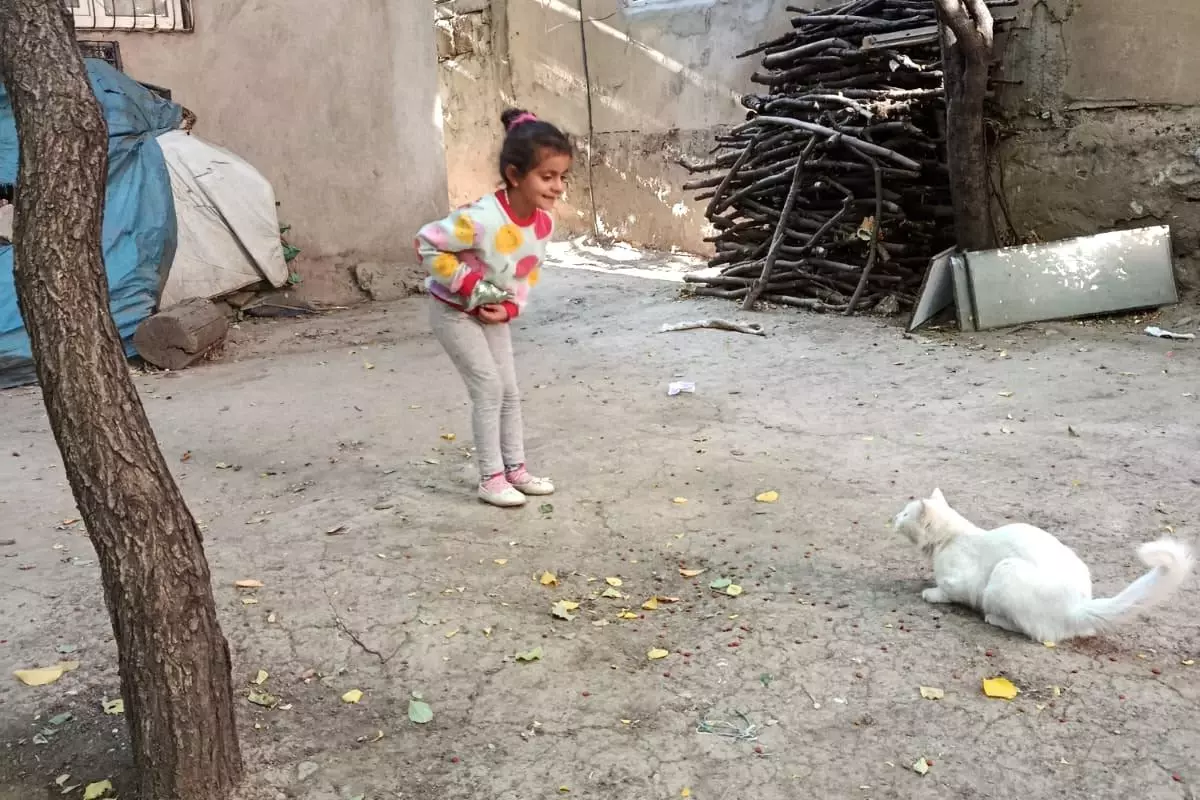 Çatak'ta Öğrenciler Sokak Hayvanlarını Unutmadı