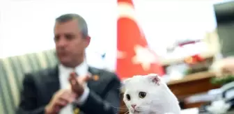 CHP Lideri Özgür Özel, Dünya Hayvanları Koruma Günü'nü Kutladı