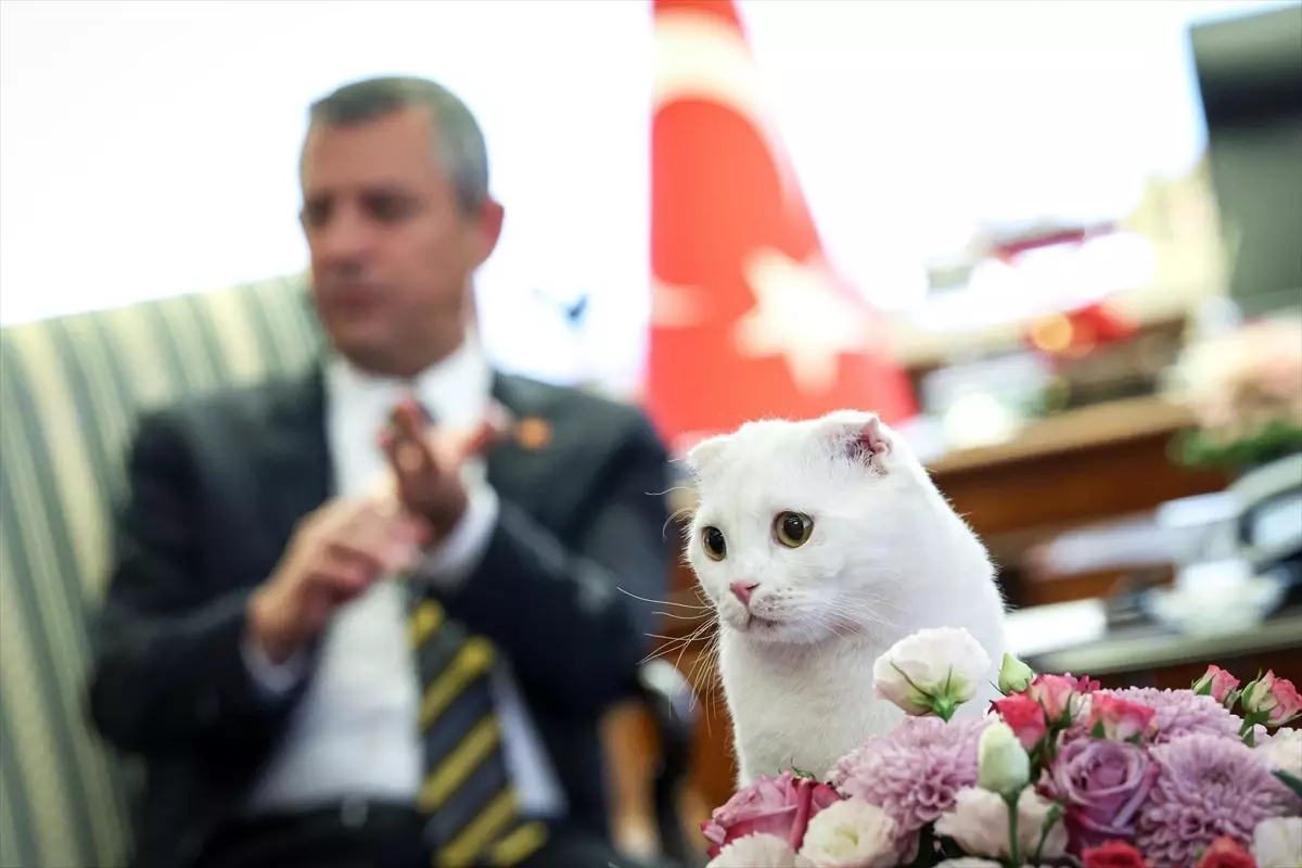 CHP Lideri Özgür Özel, Dünya Hayvanları Koruma Günü'nü Kutladı