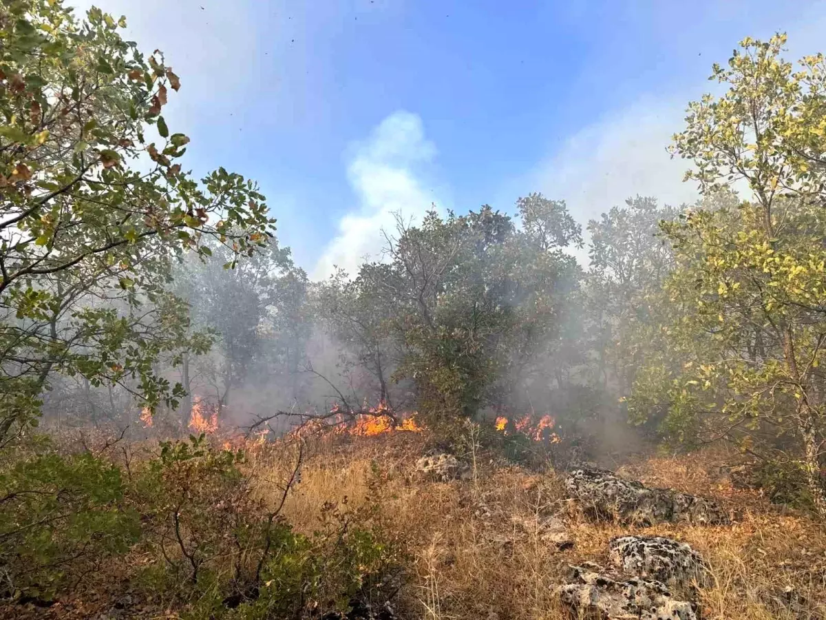 Diyarbakır'da Örtü Yangını 7 Saat Sonra Kontrol Altına Alındı