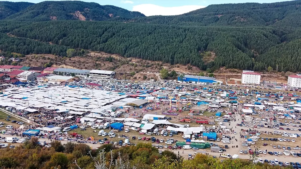 Gerede Hayvan ve Emtia Panayırı'nın İkinci Etabı Başladı