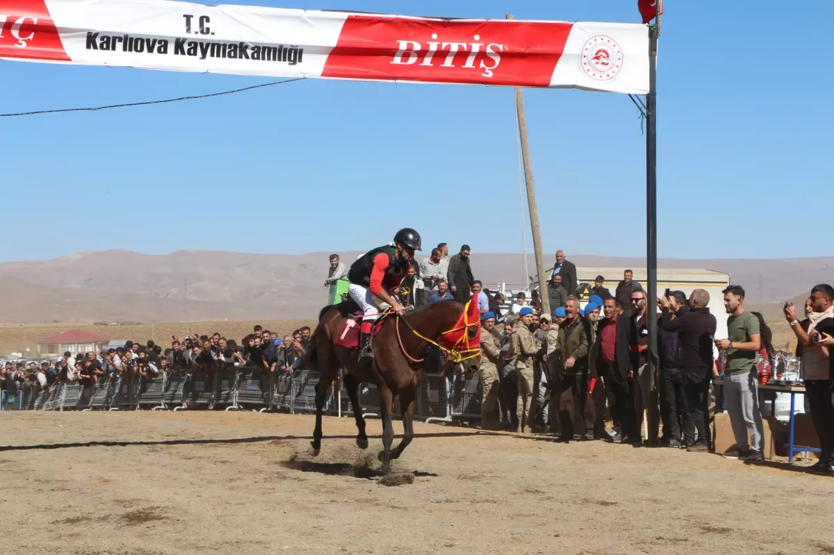 Karlıova'da Geleneksel At Yarışları Düzenlendi