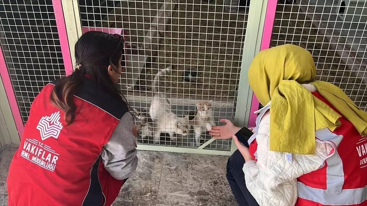 Kayseri'de Dünya Hayvanları Koruma Günü Etkinliği